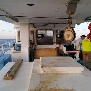 Meet your Posher, Joseph